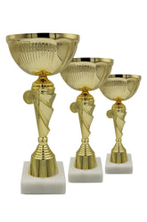 CTS 080 | SET de 3 Cupe Sportive - TrophyShop